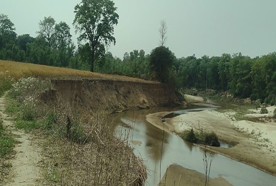 पशु प्रजनन कार्यालयको खेतीयोग्य जमिन कटानमा