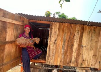 उत्पादन बढाउन आधुनिक खोर निर्माणमा जोड