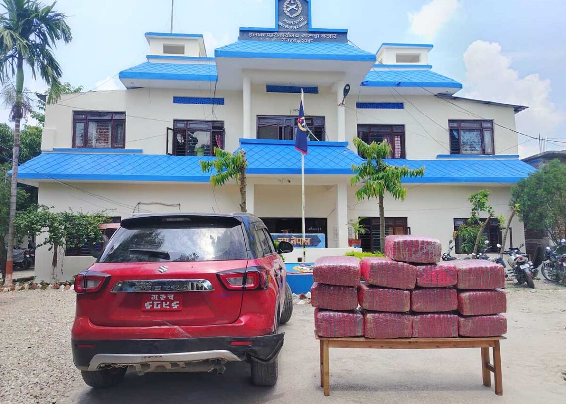 कारबाट १३३ किलो गाँजा बरामद