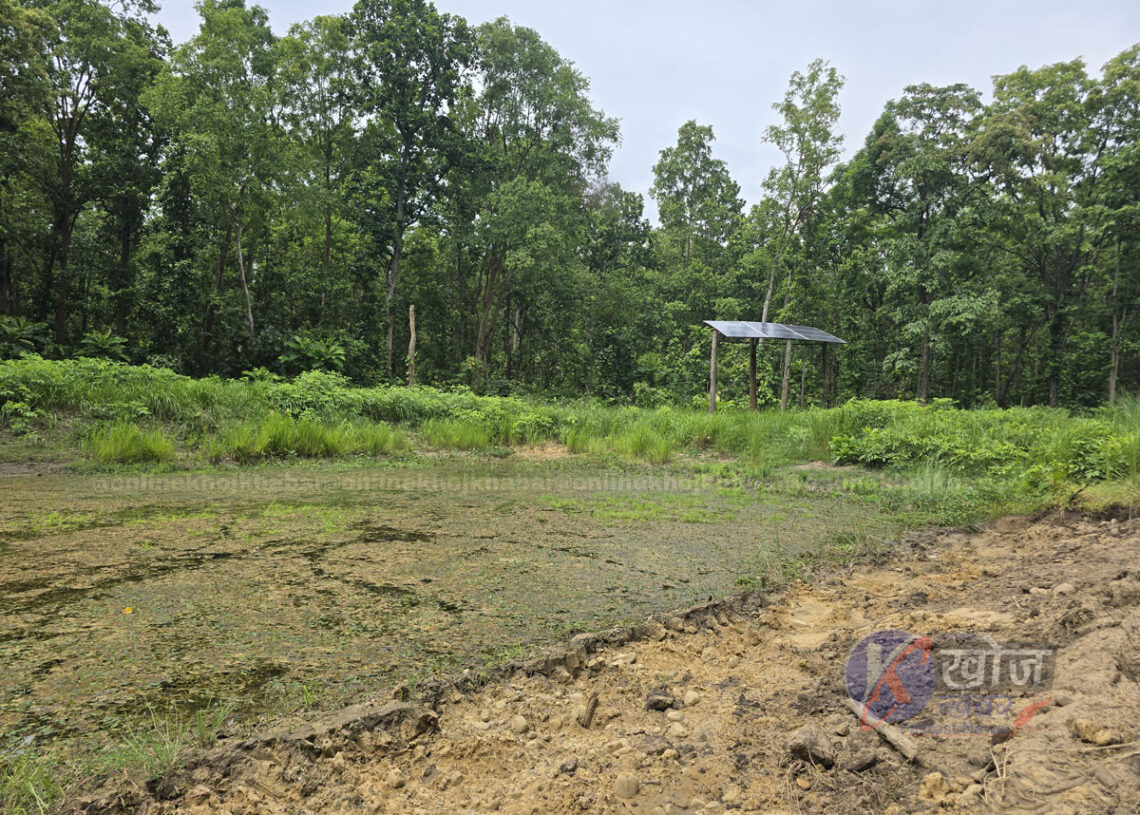 वन्यजन्तुका लागि कृतिम पोखरी र सोलारबाट पानी