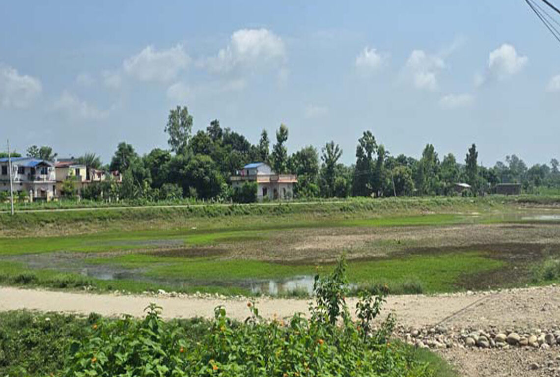 सुक्दै प्राकृतिक पानी पोखरी