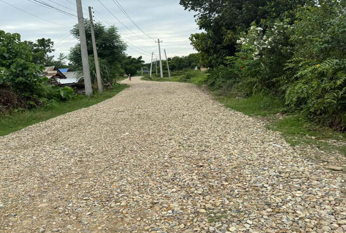 बर्दियामा पर्यटकीय क्षेत्रमै सडक निर्माण अलपत्र