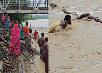 जोखिम मोलेर दाउरा संकलन : ज्यानभन्दा दाउराको माया