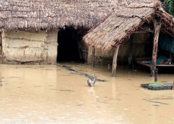 बाँकेको नरैनापुरका दर्जन घर डुबानमा