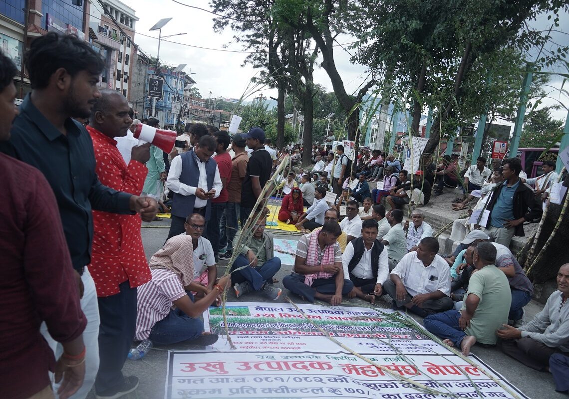 उखु किसान फेरि सडकमा : किसान भन्छन् माग पूरा नभएसम्म आन्दोलन छाड्दैनौं