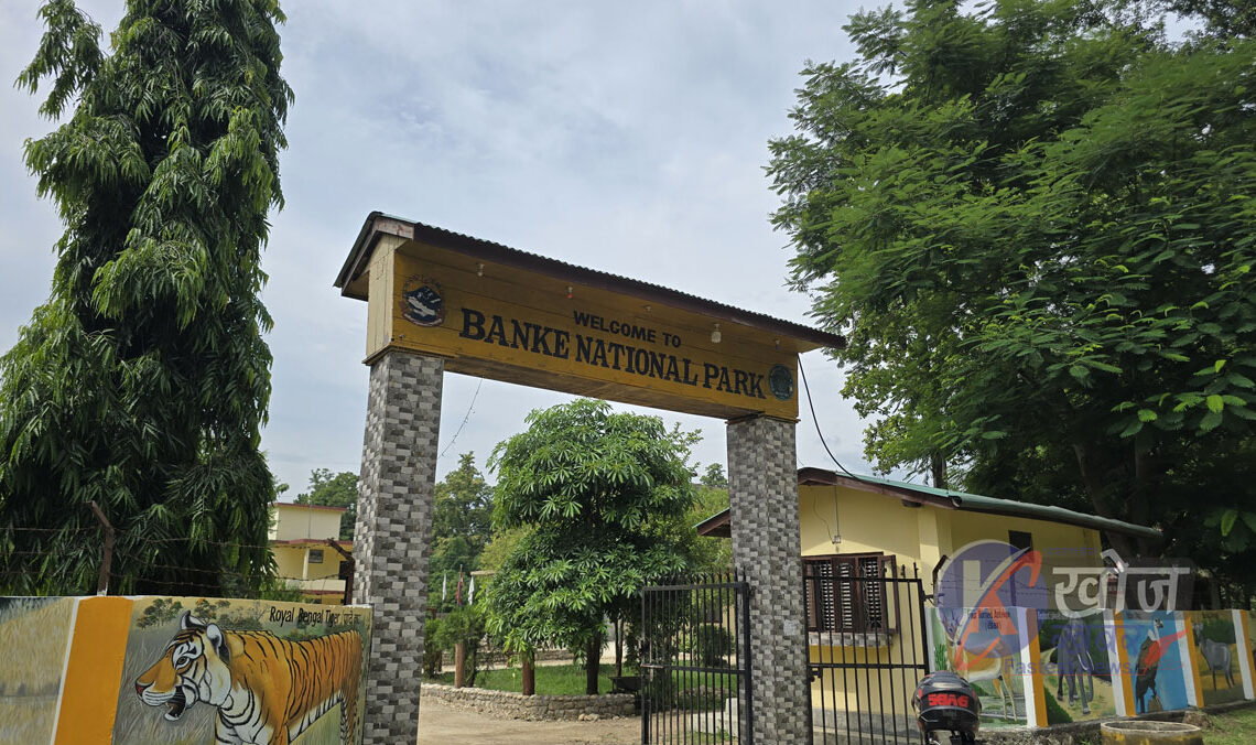 कचनापुरका स्थानीयमा बाघको त्रास