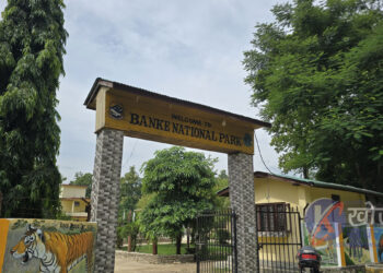 कचनापुरका स्थानीयमा बाघको त्रास