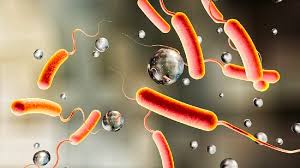 प्यूठानमा हैजाको संक्रमण