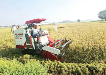 धान भित्र्याउन अत्याधुनिक प्रविधि