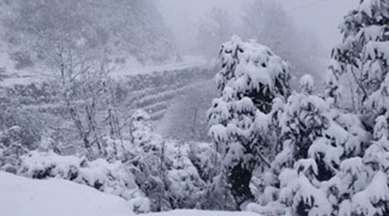 उच्च हिमाली क्षेत्रमा हिमपातको सम्भावना