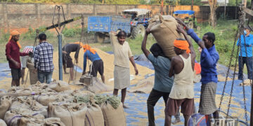 धान खरिद कोटा सीमित भएपछि बाँकेका किसान चिन्तित