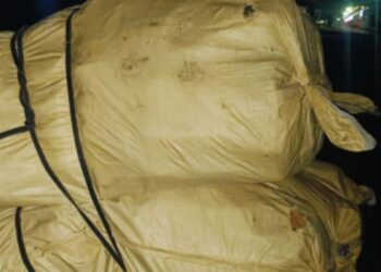 तस्करका पहरेदार प्रहरी, साइगाउँ नाका प्रहरीको ‘मालखाना’