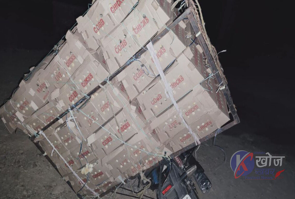 प्रहरी–तस्कर मिलेमतो : राति खुल्छ अवैध व्यापारको बाटो