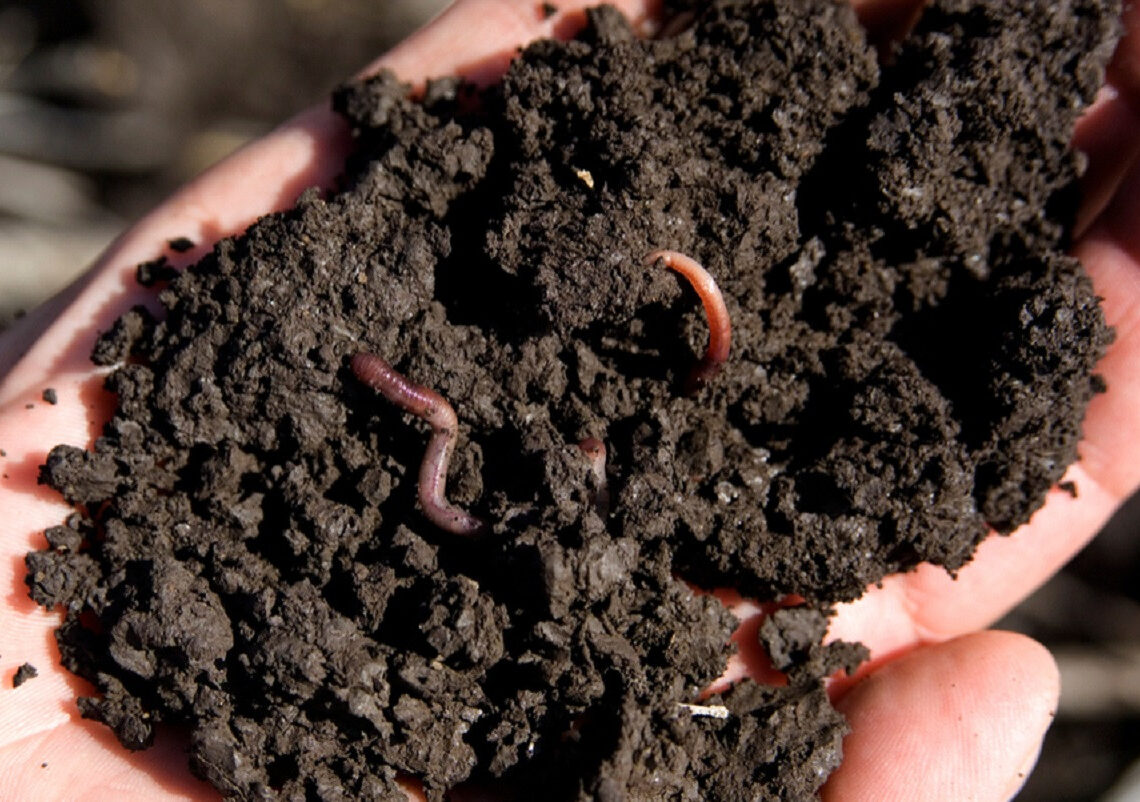 गड्यौला मल प्रति किसानको माग बढ्यो