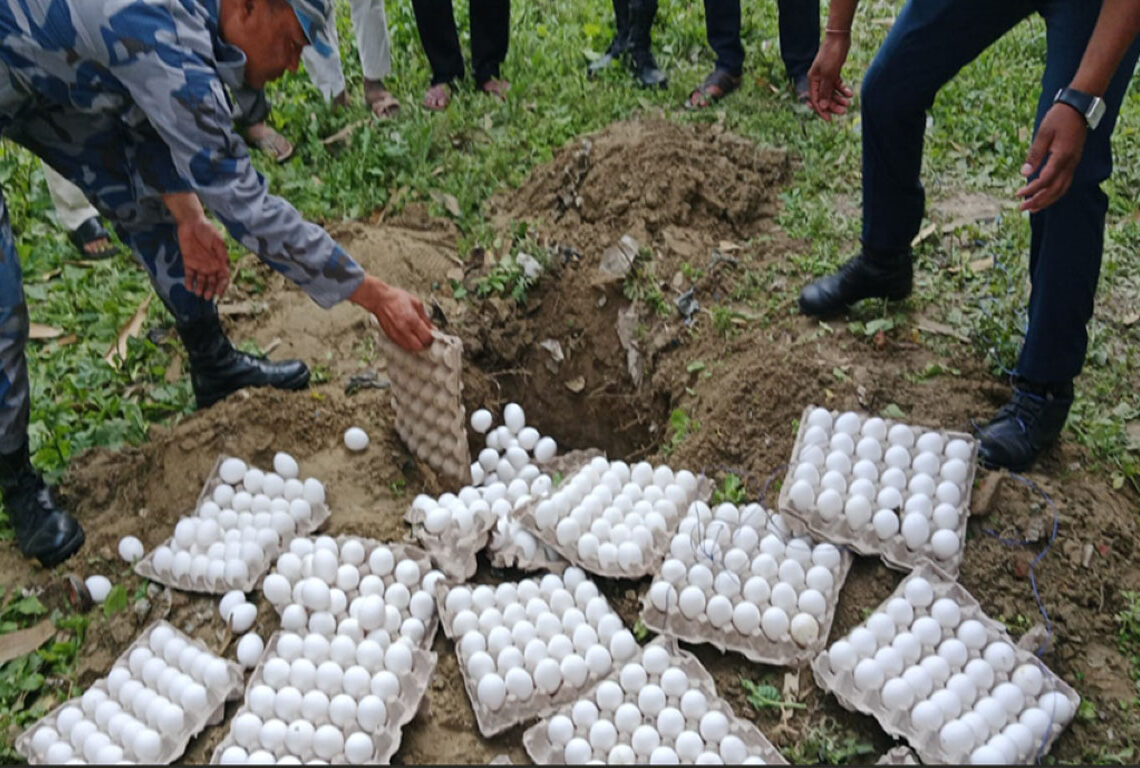 बाँकेका सीमावर्ती पसलमा प्रतिबन्धित भारतीय सेतो ‘अण्डा’ फेला