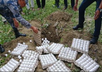 बाँकेका सीमावर्ती पसलमा प्रतिबन्धित भारतीय सेतो ‘अण्डा’ फेला