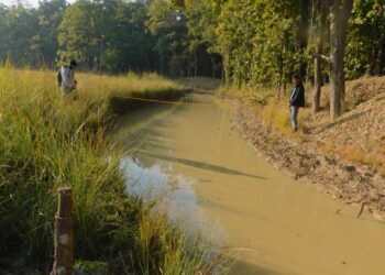 बर्दिया निकुञ्जमा वन्यजन्तुका लागि १९० पोखरी निर्माण, मर्मत कार्य सुरु