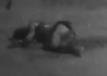 नेपालगन्जमा रहस्यमय अवस्थामा जलेकी युवतीको ज्यान गयो