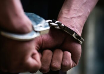 मन्त्रालयबाटै पक्राउ परे वरिष्ठ डिभिजन वन अधिकृत भट्ट