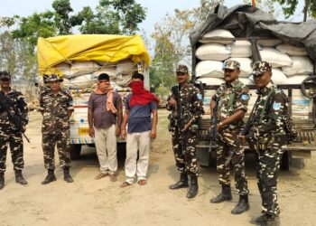 सीमा नाकाबाट तस्करी बढ्दो, भारतको सीतामढीमा चिनियाँ लसुन र बीउ बरामद