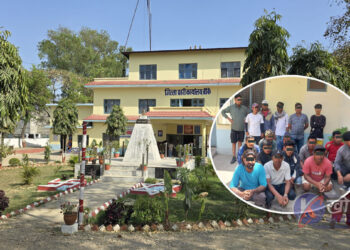 नेपालगन्जमा यात्रु तान्ने गिरोहविरुद्ध प्रहरीको सक्रियता, १७ जना नियन्त्रणमा