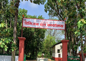 लिलामबाट ४२ लाख बढी राजस्व संकलन