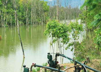 कृत्रिम जलाशयले कर्जाहीका किसानको आम्दानीमा वृद्धि