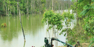 कृत्रिम जलाशयले कर्जाहीका किसानको आम्दानीमा वृद्धि
