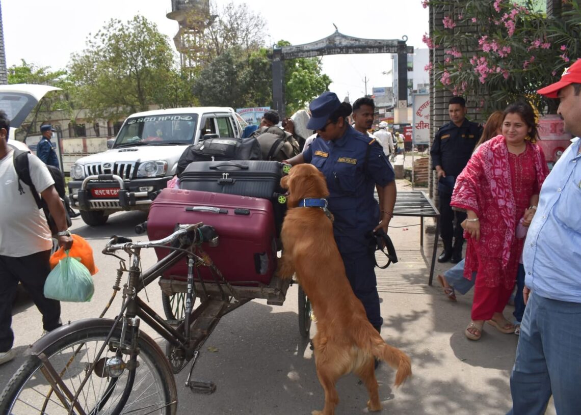 कपिलवस्तुमा ‘डग स्निफिङ’सहित सिमा क्षेत्रमा कडाइका साथ चेकजाँच