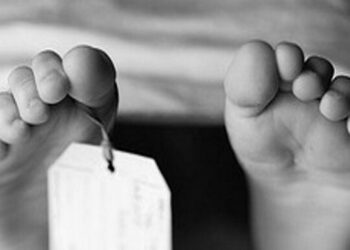 हाइसको ठक्करबाट पाँच वर्षीय बालकको मृत्यु