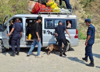 नेपालगन्जबाट लागुऔषध बोकेर सुर्खेत जाँदै गरेका युवक पक्राउ