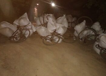 बर्दिया सीमाबाट १६ लाखभन्दा बढी मूल्यको तरबुजाको बीउ बरामद, तस्कर फरार