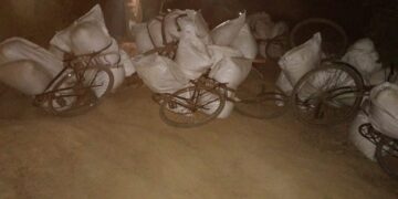 बर्दिया सीमाबाट १६ लाखभन्दा बढी मूल्यको तरबुजाको बीउ बरामद, तस्कर फरार