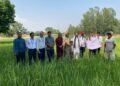 चैते धान खेतीतर्फ किसानको आकर्षण बढ्दै, जानकीमा उत्पादन र आम्दानी दुवैमा सुधार