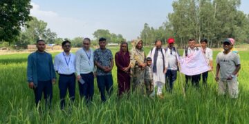 चैते धान खेतीतर्फ किसानको आकर्षण बढ्दै, जानकीमा उत्पादन र आम्दानी दुवैमा सुधार
