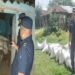 बर्दियामा १८ लाखभन्दा बढीका तरबुजको बीउ र चिनियाँ लसुन बरामद