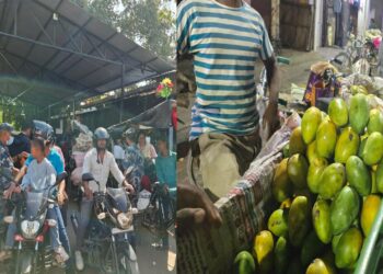 जमुनाहा नाकाको कडाइ : दुई किलो आँप बोकेका नागरिक सास्तीमा, तस्कर भने ‘सेटिङ’मा
