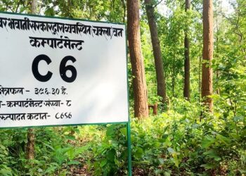 बाँकेमा थपिए दुई चक्ला वन, दिगो वन व्यवस्थापन विस्तार
