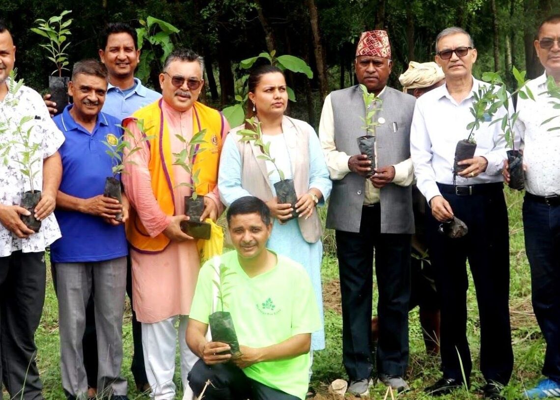 कोहलपुरमा बृहत् वृक्षारोपण, २ हजार ४ सय बिरुवा रोपियो