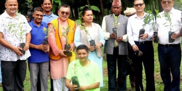कोहलपुरमा बृहत् वृक्षारोपण, २ हजार ४ सय बिरुवा रोपियो