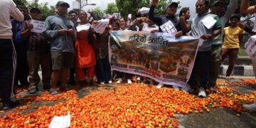 सडकमा गोलभेँडा फालेर सरकारविरुद्ध किसानको प्रदर्शन