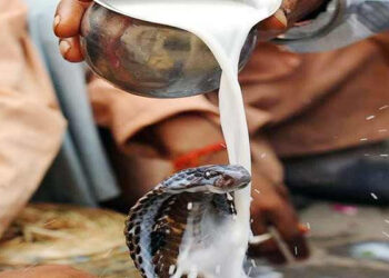 नागको पूजा गरी नागपञ्चमी मनाइँदै