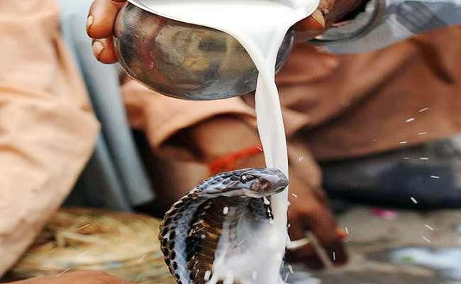 नागको पूजा गरी नागपञ्चमी मनाइँदै