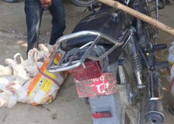 बाँकेमा अवैध कुखुरा तस्करी मौलायो, ‘सुरक्षाकर्मीको मिलेमतोबिना सम्भव छैन’ स्थानीयको आरोप