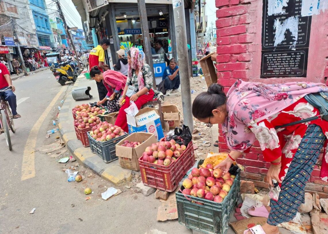 भारत–चीनको स्याउलाई कर्णालीको स्याउले दियो टक्कर
