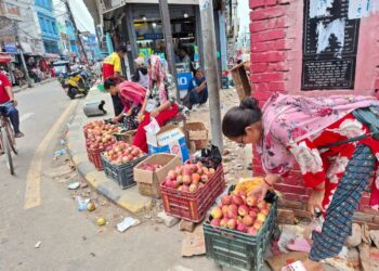 भारत–चीनको स्याउलाई कर्णालीको स्याउले दियो टक्कर