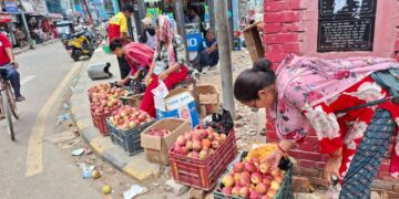 भारत–चीनको स्याउलाई कर्णालीको स्याउले दियो टक्कर