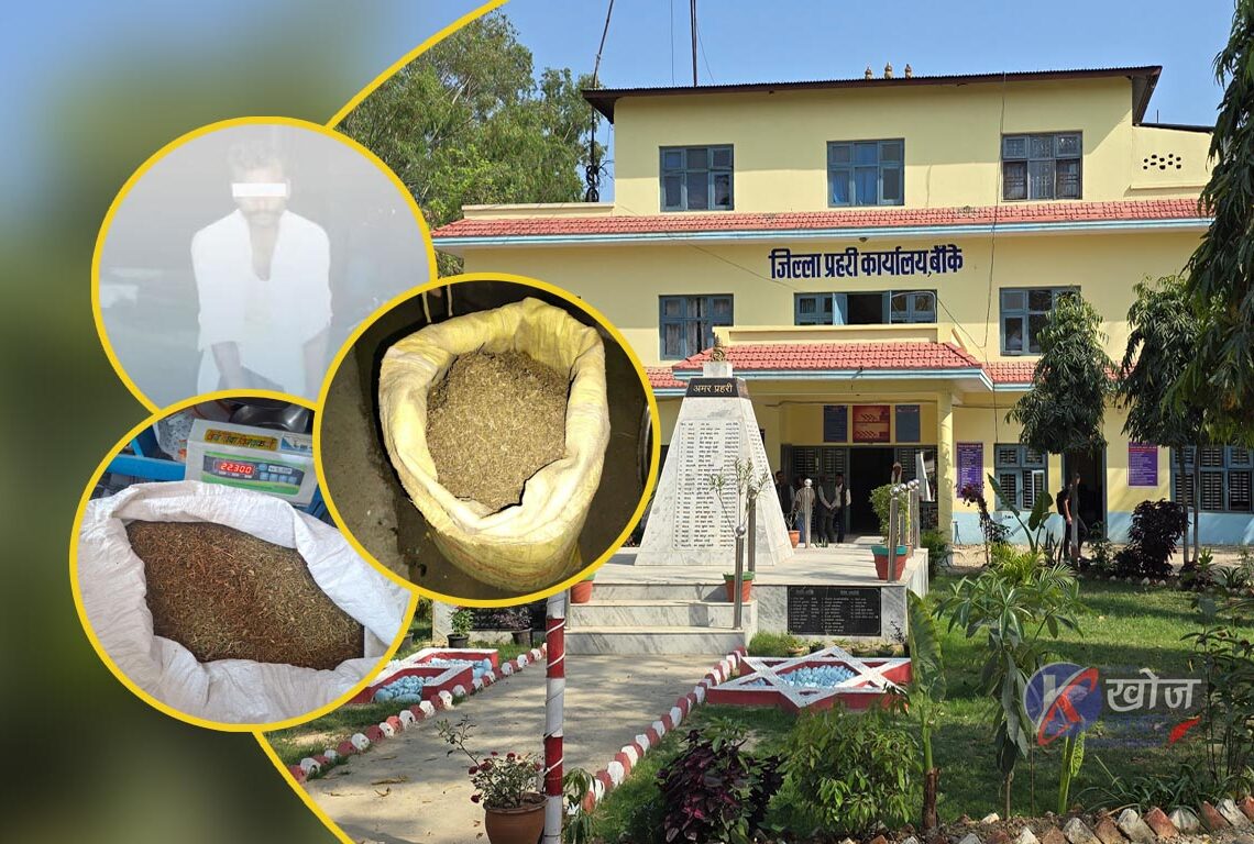 बाँकेमा ३२ किलो ५२० ग्राम गाँजासहित कुर्मी पक्राउ