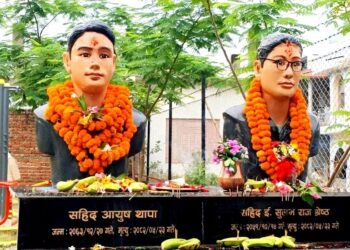 जेनजी शहीदको परिचय स्थानीय पाठ्यक्रममा समेट्ने तयारी